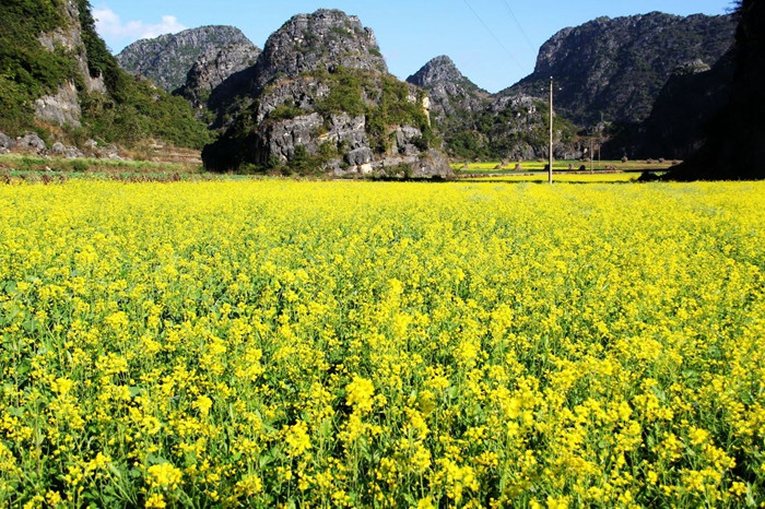 三生三世十里攻略-拍摄地普者黑旅游桃花-云巴丹吉林沙漠旅游攻略图片
