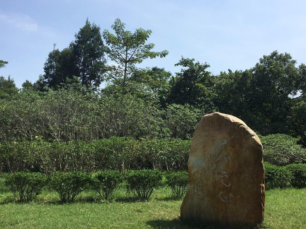 番禺大夫山森林公园