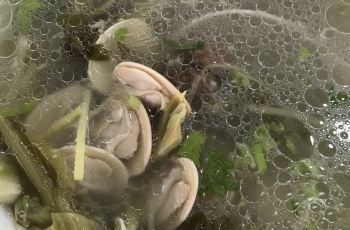 惠东双月湾海岛攻略美食坊风味,双月湾海岛风如何把驴肉火烧做鼓起来图片