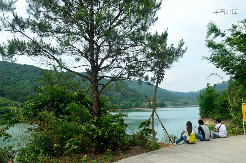 花都自驾游:羊石水库 想和你一起去吹吹风