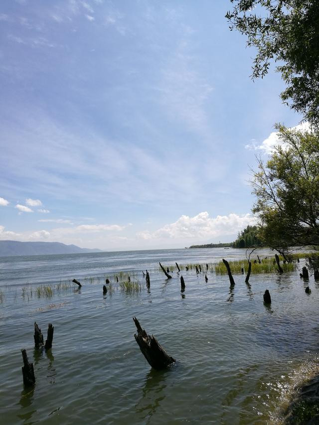 辣妈带萌娃游大理海舌湿地公园