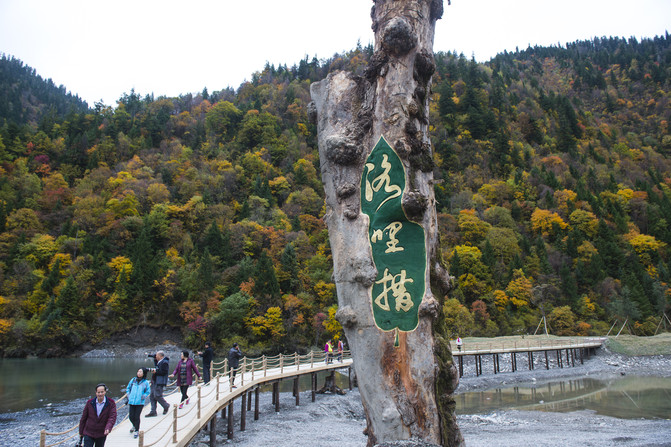 川西黑水县10月27-31日5日绝美彩林游