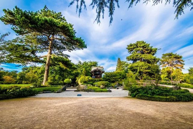 探访英国植物界的"大英博物馆"—皇家园林kew garden