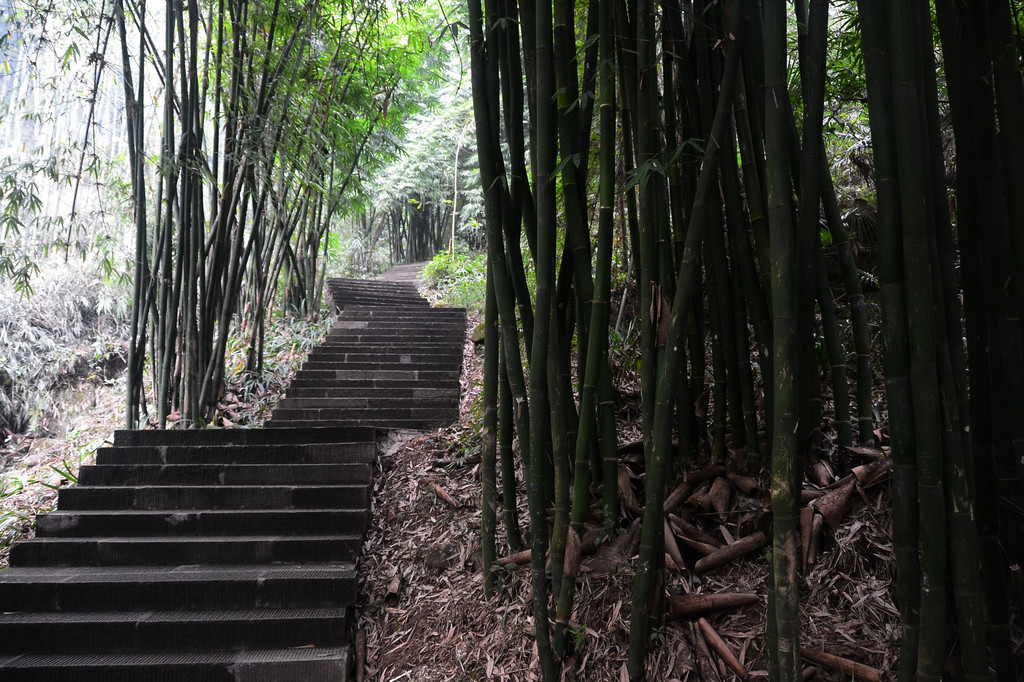 成都往西的崇州凤栖山,这是通往山顶道院的上山路.