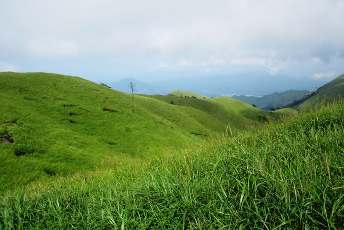 武功山高山草甸