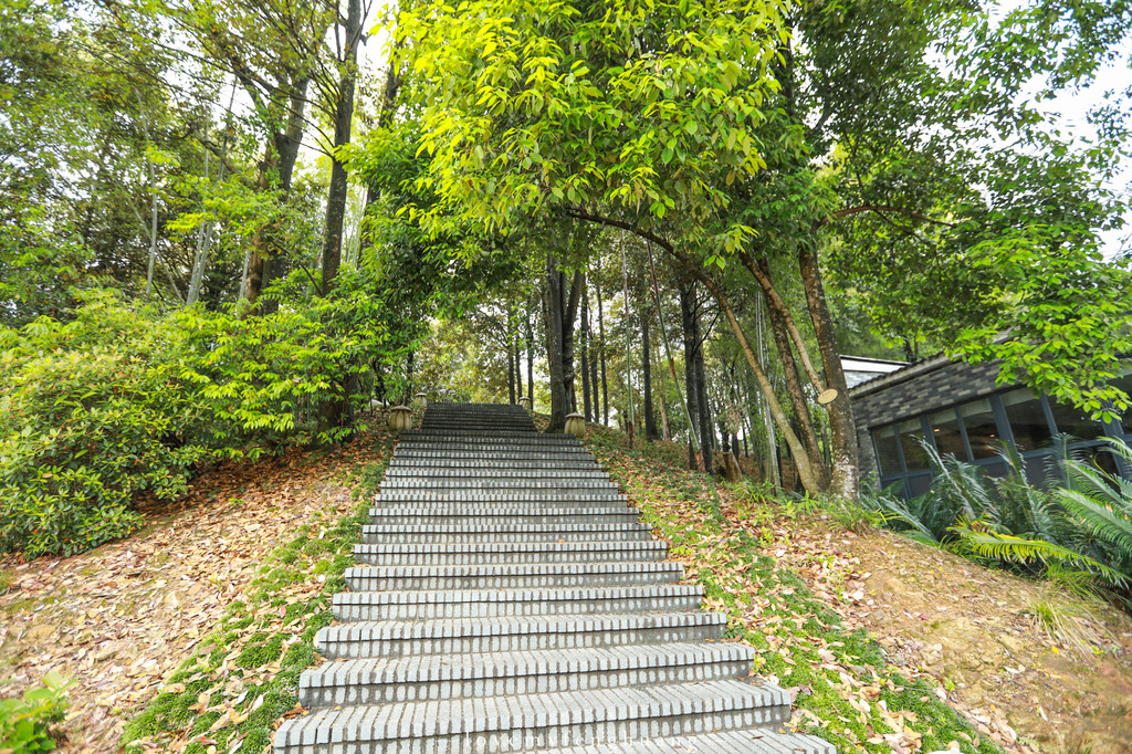 一山一水一花海 归园田居在丫山