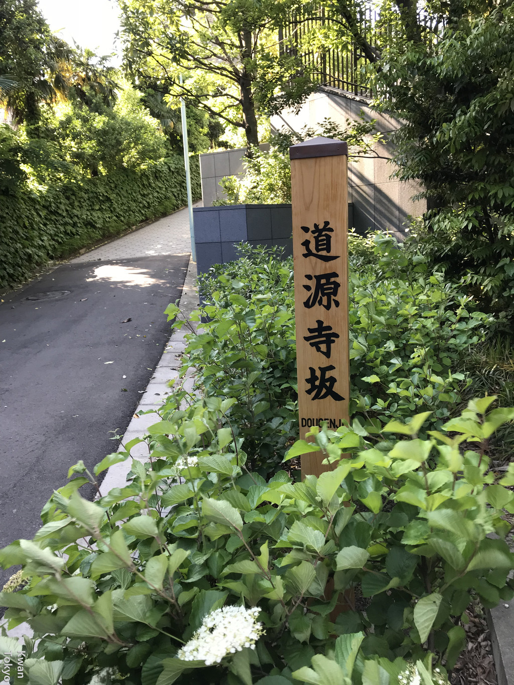 第六日(5月4日周五 早上道源寺 西光寺,明治神宫 表参道 长泉寺,增