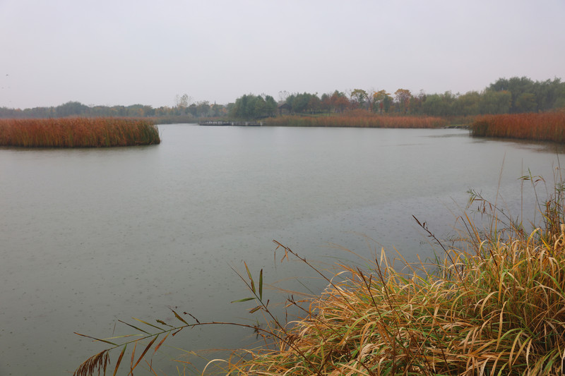 昆山巴城阳澄湖湿地公园