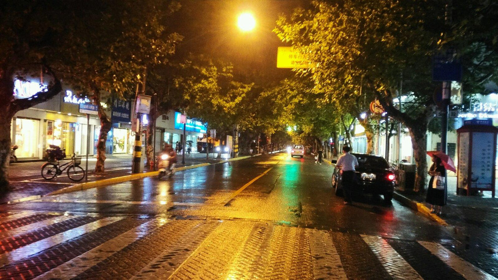                  崇明岛街道夜景