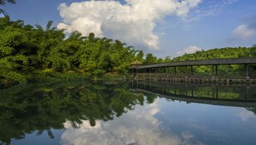 沐川竹海