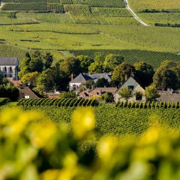 法国兰斯香槟酒庄兰斯大教堂一日游中文司导酒店接送 独立成团 法国兰斯香槟酒庄兰斯大教堂一日游中文司导酒店接送 独立成团