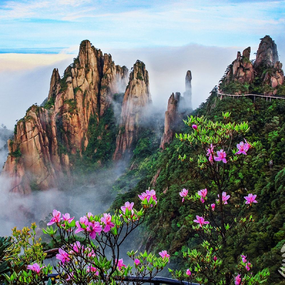 三清山风景区一日游【索道中餐全含 纯玩 上饶发 秀丽