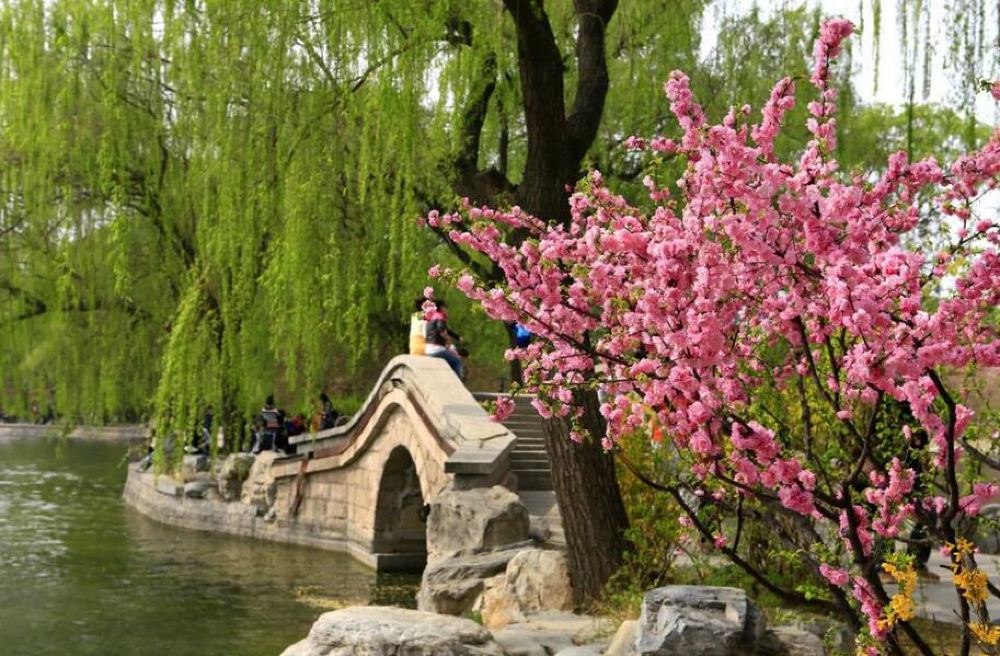 北京玉渊潭公园一日游踏春赏花京郊圣地亲子游玩老少皆宜