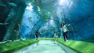 福州罗源湾海洋世界一日游【海洋世界8选一 自由行 无