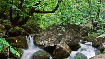 养子沟 图片 (2)