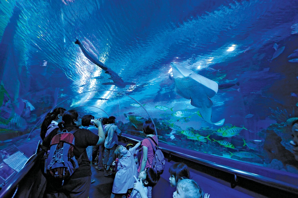 吉隆坡城中城水族馆