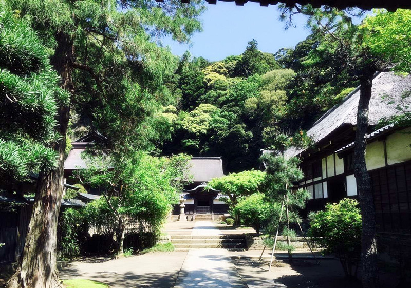 日本镰仓市 江之岛 镰仓高校前站 长谷寺 报国寺 鹤冈