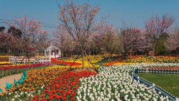 云澜湾·四季花海乐园