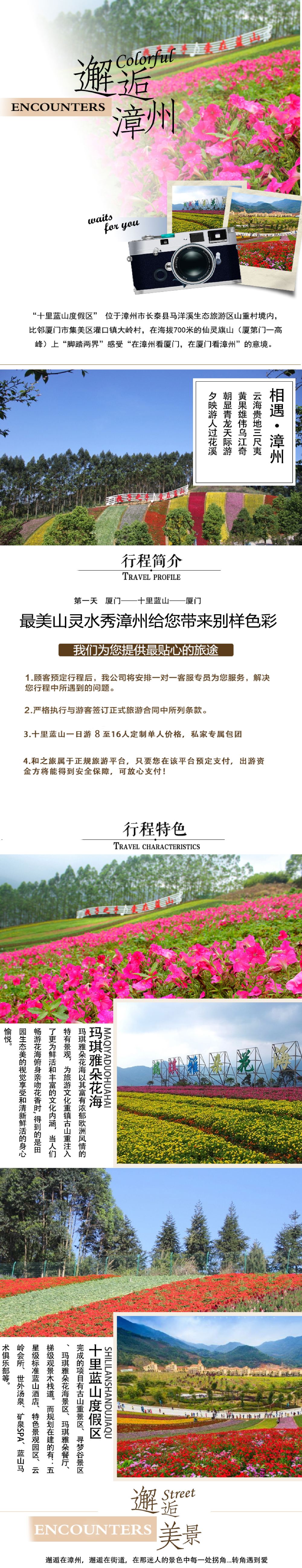 漳州十里蓝山 玛琪雅朵花海 长泰古山重一日游【【私家定制游,8人起订