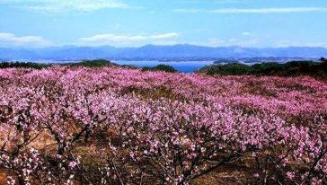 花源谷国际养生旅游度假区地处九江武宁县扬洲乡西海群岛环抱中,占地