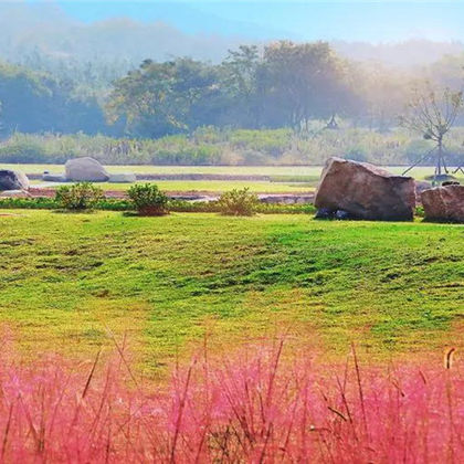 半汤郁金香高地景区+紫微洞+三瓜公社一日游 半汤郁金香高地景区+紫微洞+三瓜公社一日游