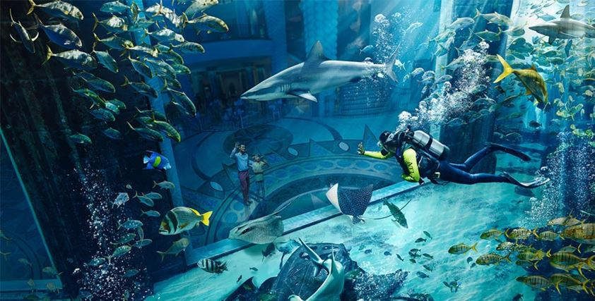 迪拜-亚特兰蒂斯失落的空间水族馆门票