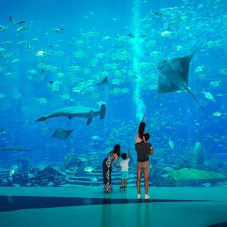 三亚亚特兰蒂斯度假区 失落的空间水族馆 水世界包车一日游【双门票