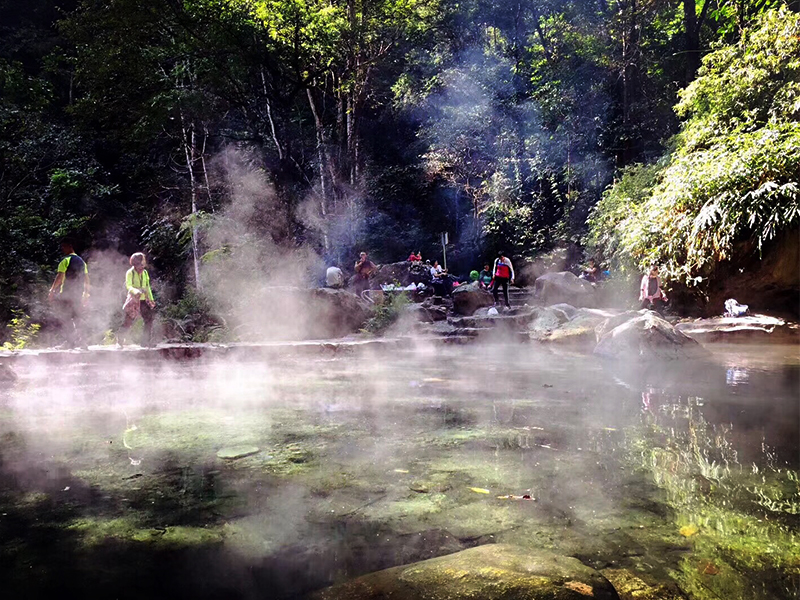 云南保山百花岭生态旅游区 高黎贡山植物园户外徒步一