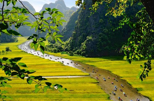 河内 宁平华闾 三谷风景名胜区往返包车一天服务(10小时专车 中越双语