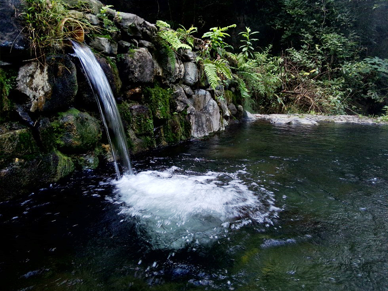 云南保山百花岭生态旅游区 高黎贡山植物园户外徒步一