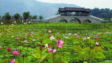 陕西丹凤商於古道棣花文化旅游景区一日游【棣花古镇