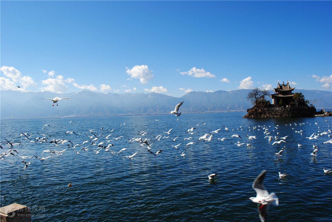 精选景点丽江古城,拉市海,大理张家花园(含三道茶),双廊洱海游船