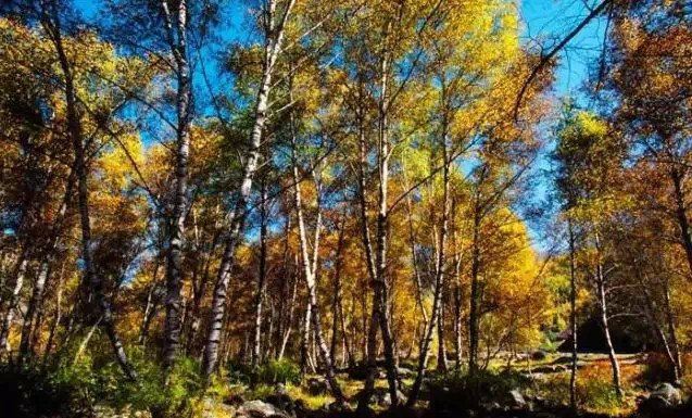 5、6月份西宁周边最美的地方竟然是…(附:游玩