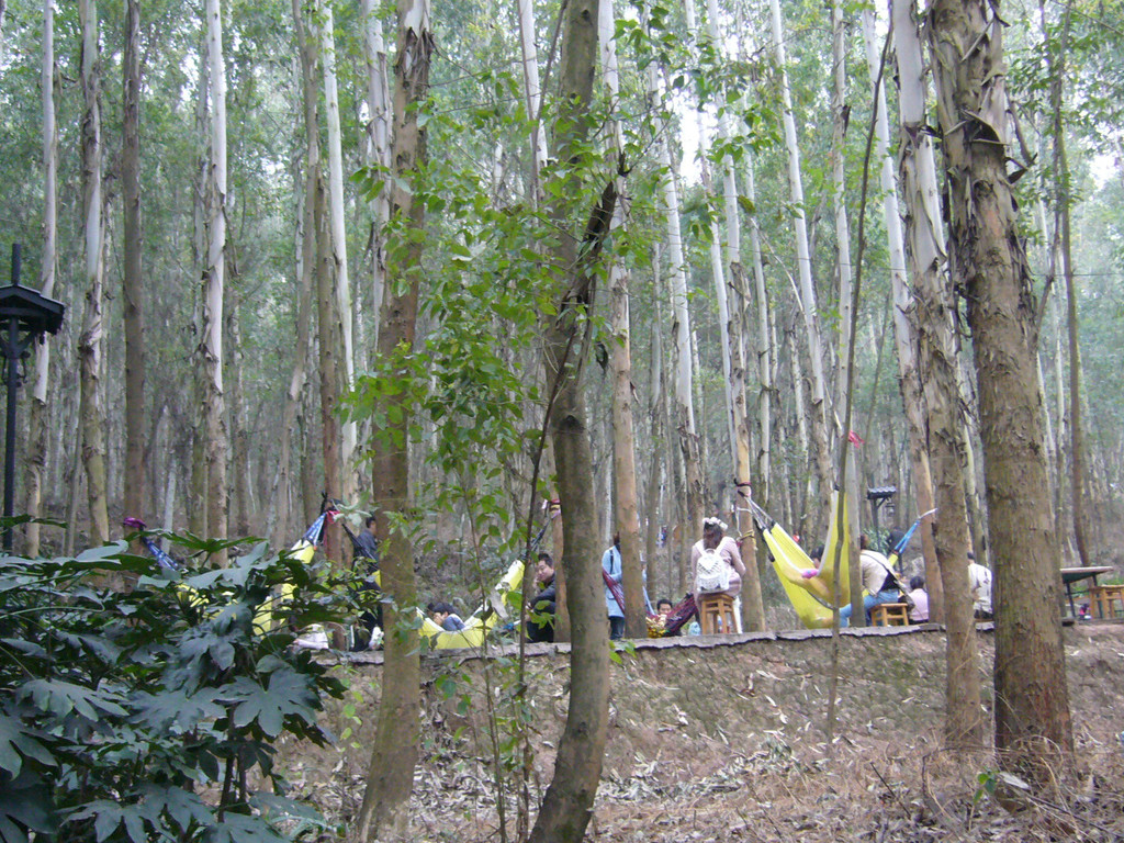 成都龙泉仰天窝爬山