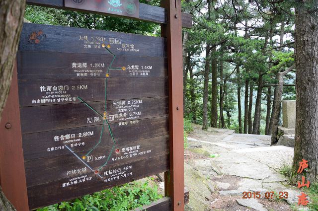 路线图,右手边就是三宝树的路口.