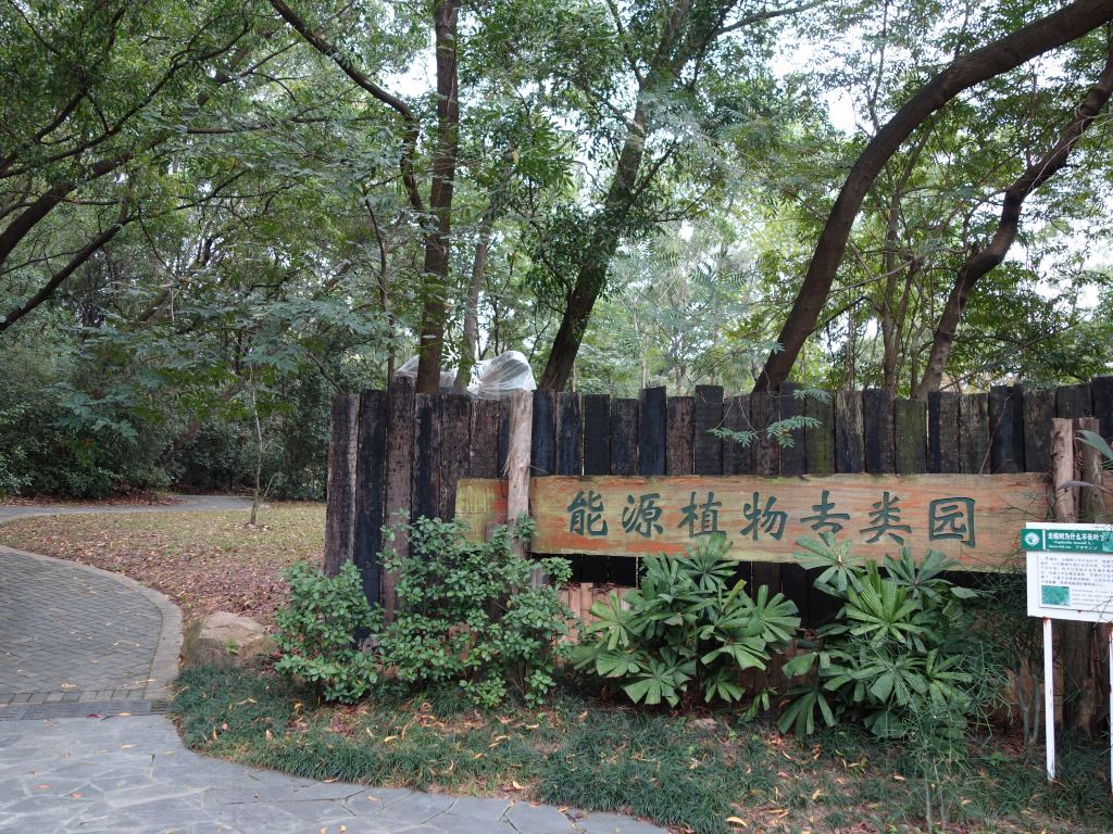 春节游华南植物园 - 波恩游记攻略【携程攻略】