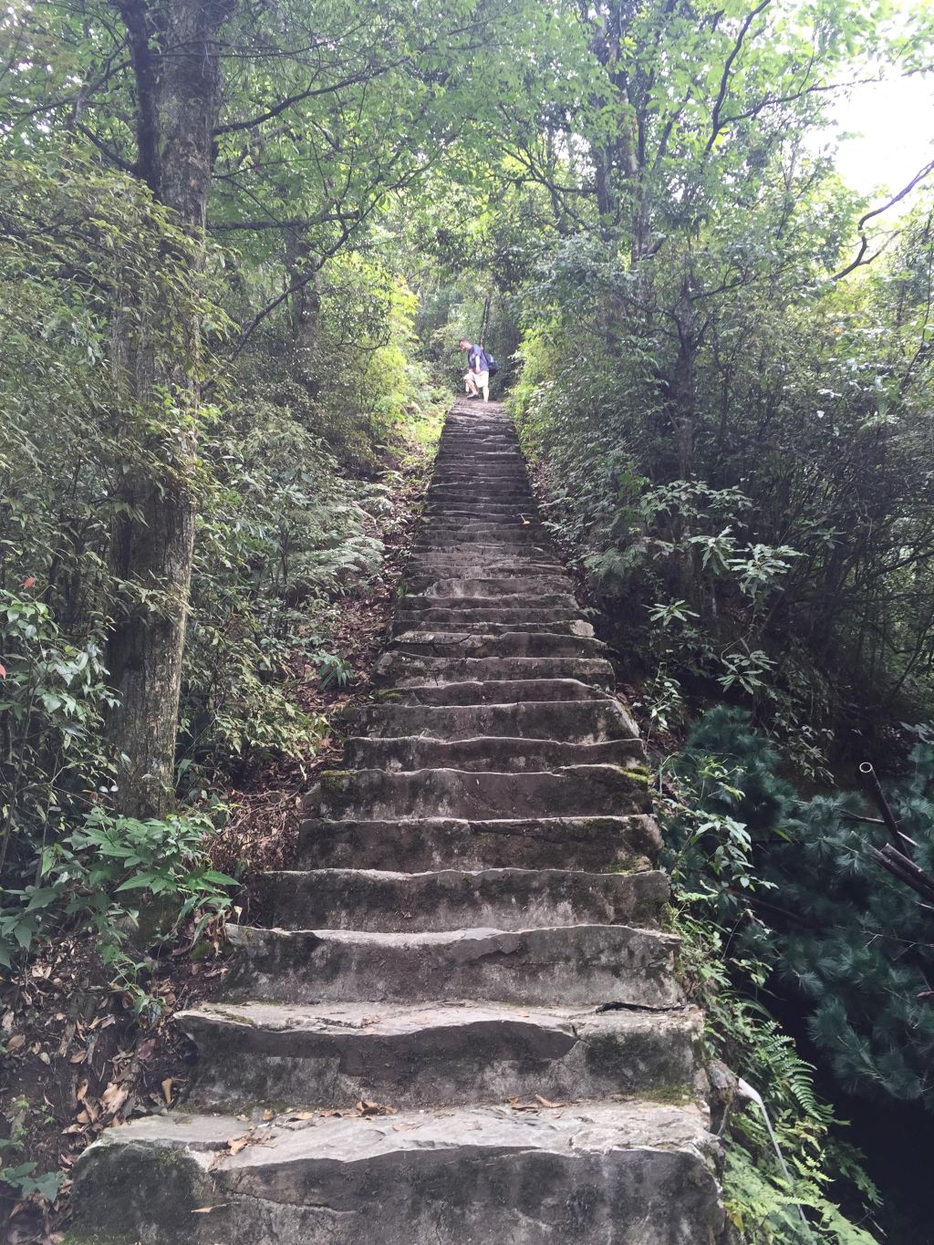 梵净山登山礼佛之旅20150725-20150726