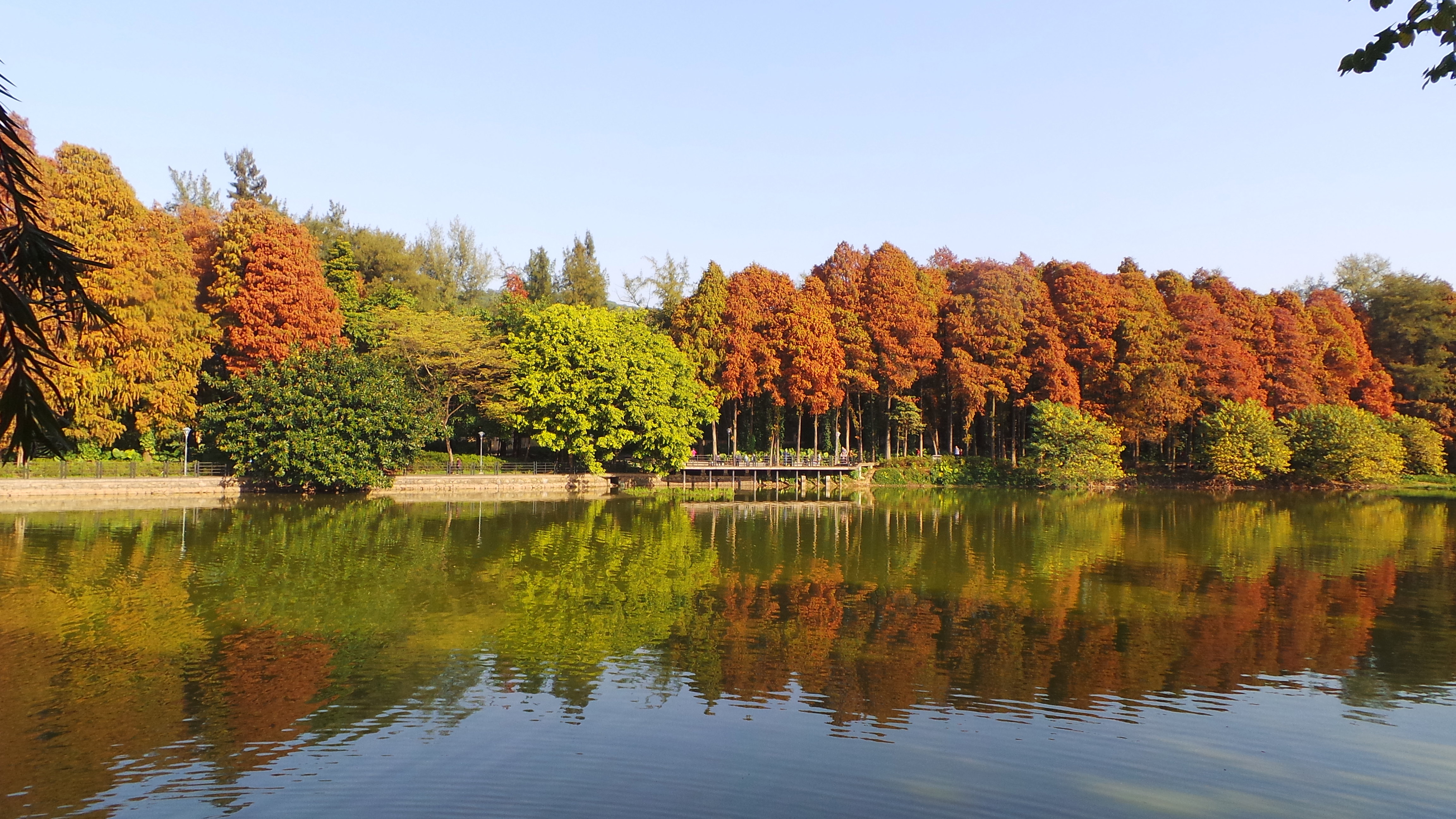 麓湖公园