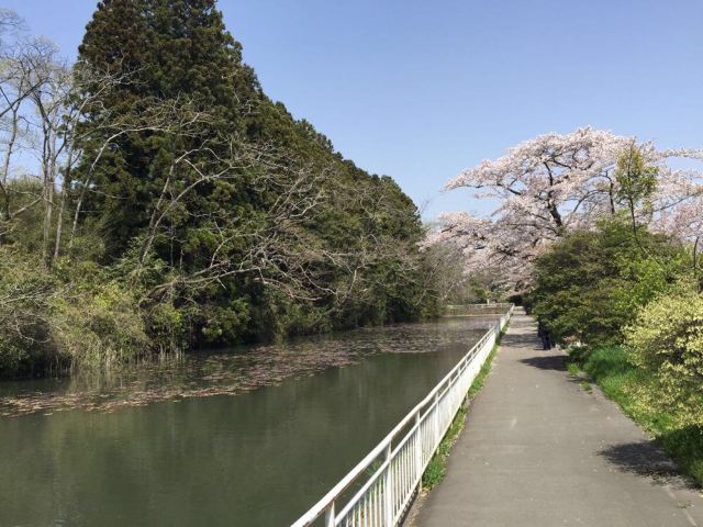 仙台市博物馆