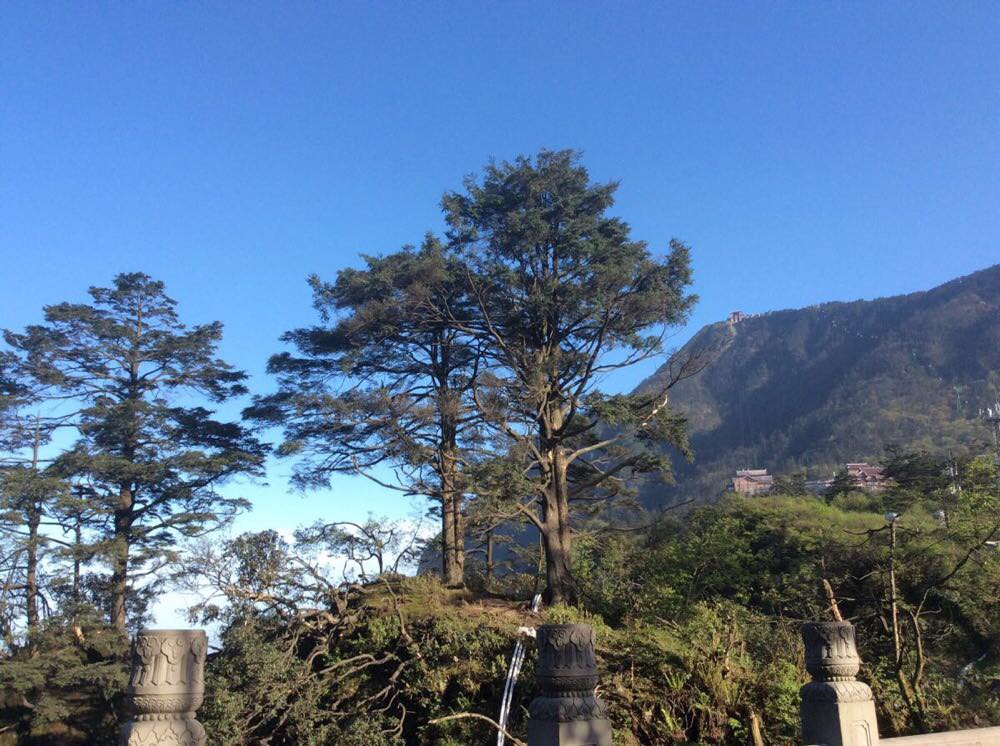 雷洞坪