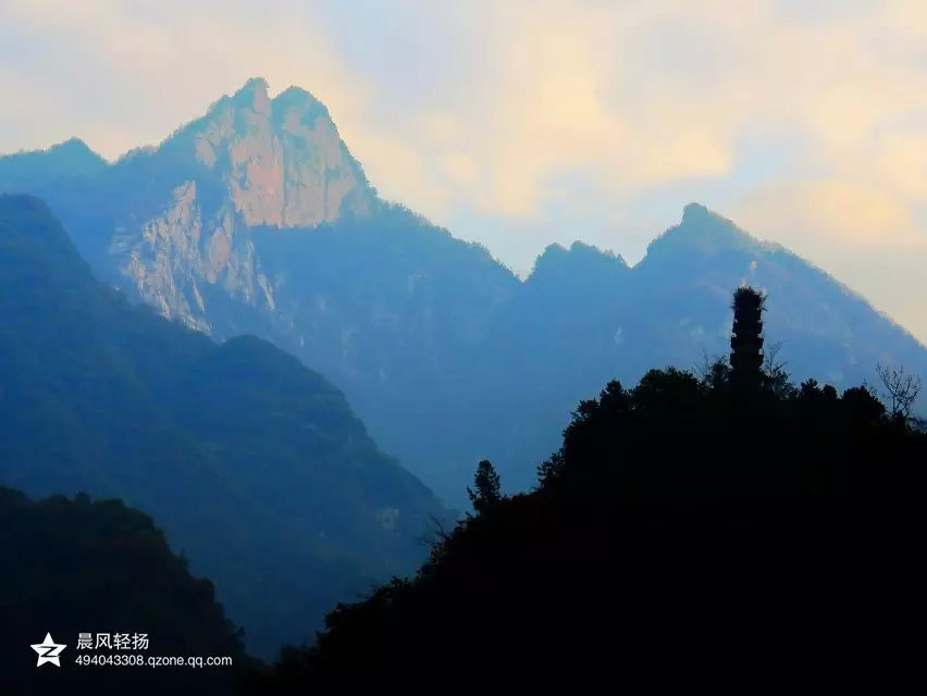 寻访终南山中的空谷幽兰