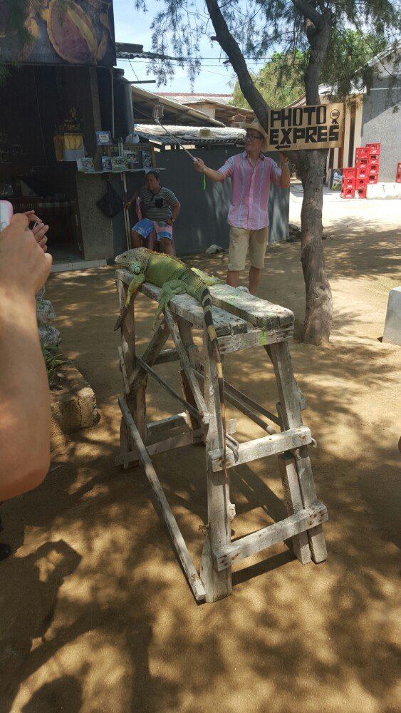 最喜欢旅行~会让人变得豁达 释然 不再为了些鸡毛蒜皮微不足道的小事纠结烦心。 恋爱长跑5年,从校服到婚纱终于于2015.10.18把关系从情侣变为夫妻 半年前原定的蜜月地是泰国的普吉岛~可是那段时间泰国老是被扔炸弹( ̄ ̄)所以就改定了10.24日巴厘岛半自由行的团~ 无奈小新同学 意外脚伤 只能退团在家休养~ 一个多月终于可以下地行走 就马上又定了团!