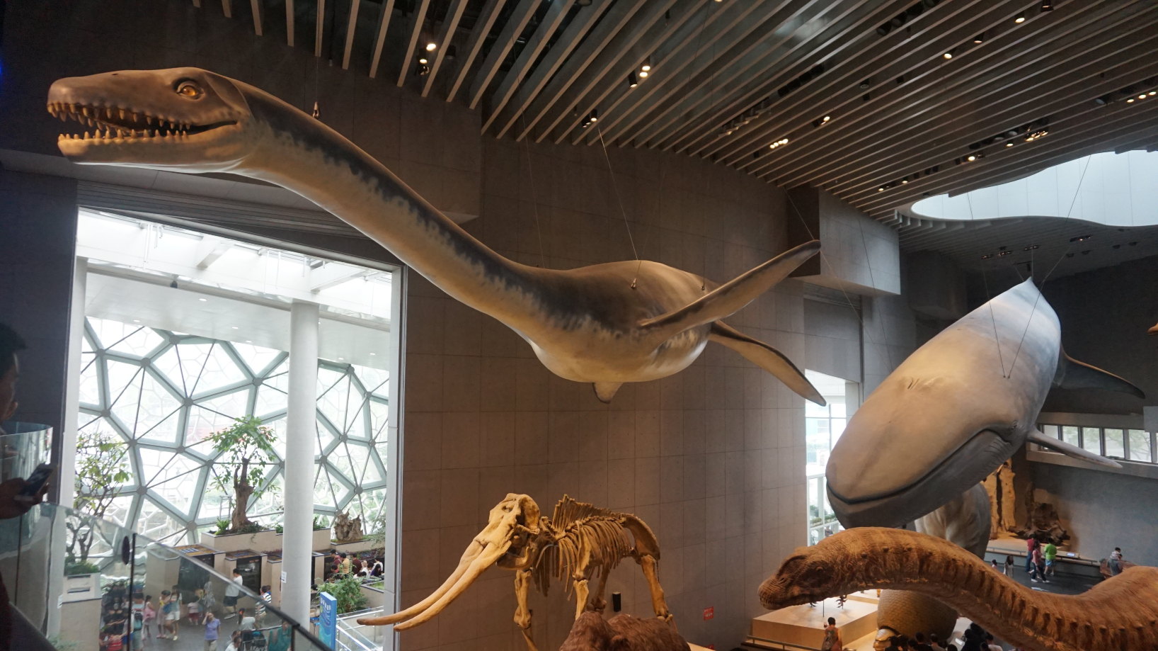 上海自然博物馆