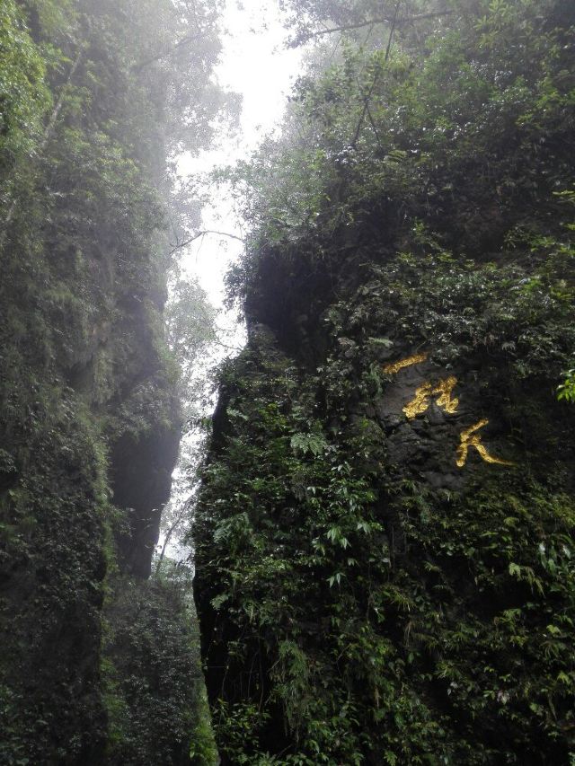 乐山峨眉两日游