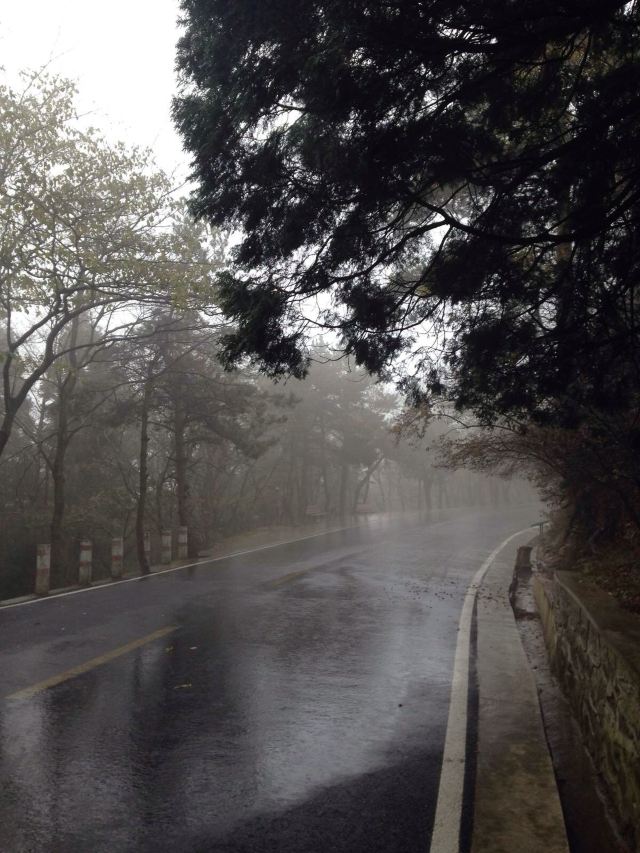 庐山雨中道路,说实话没人的庐山有点瘆人.