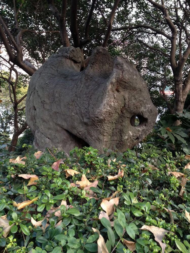 真光公园