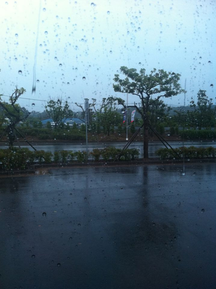 这就是下地之后迎接葱花的济州岛天气,真正的风雨交加
