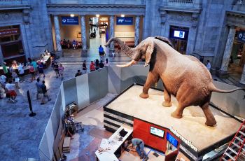 美国自然历史博物馆,纽约美国自然历史博物馆