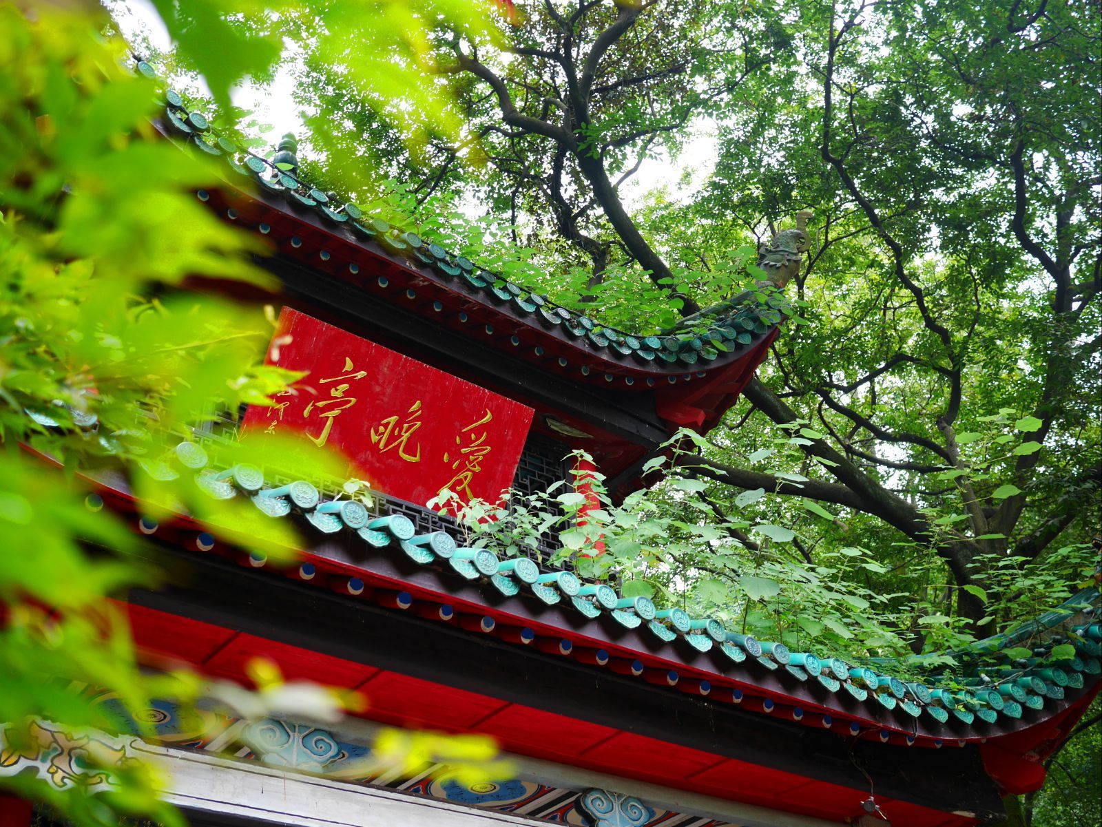 爱晚亭在岳麓山哪个门图片