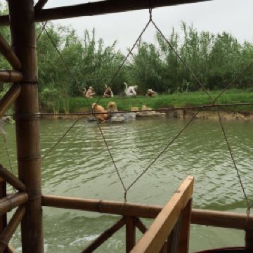 泗洪洪泽湖湿地公园_泗洪湿地公园门票收入(3)